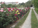 dvorište